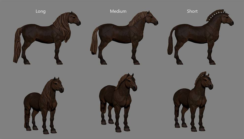 Horse mane variations